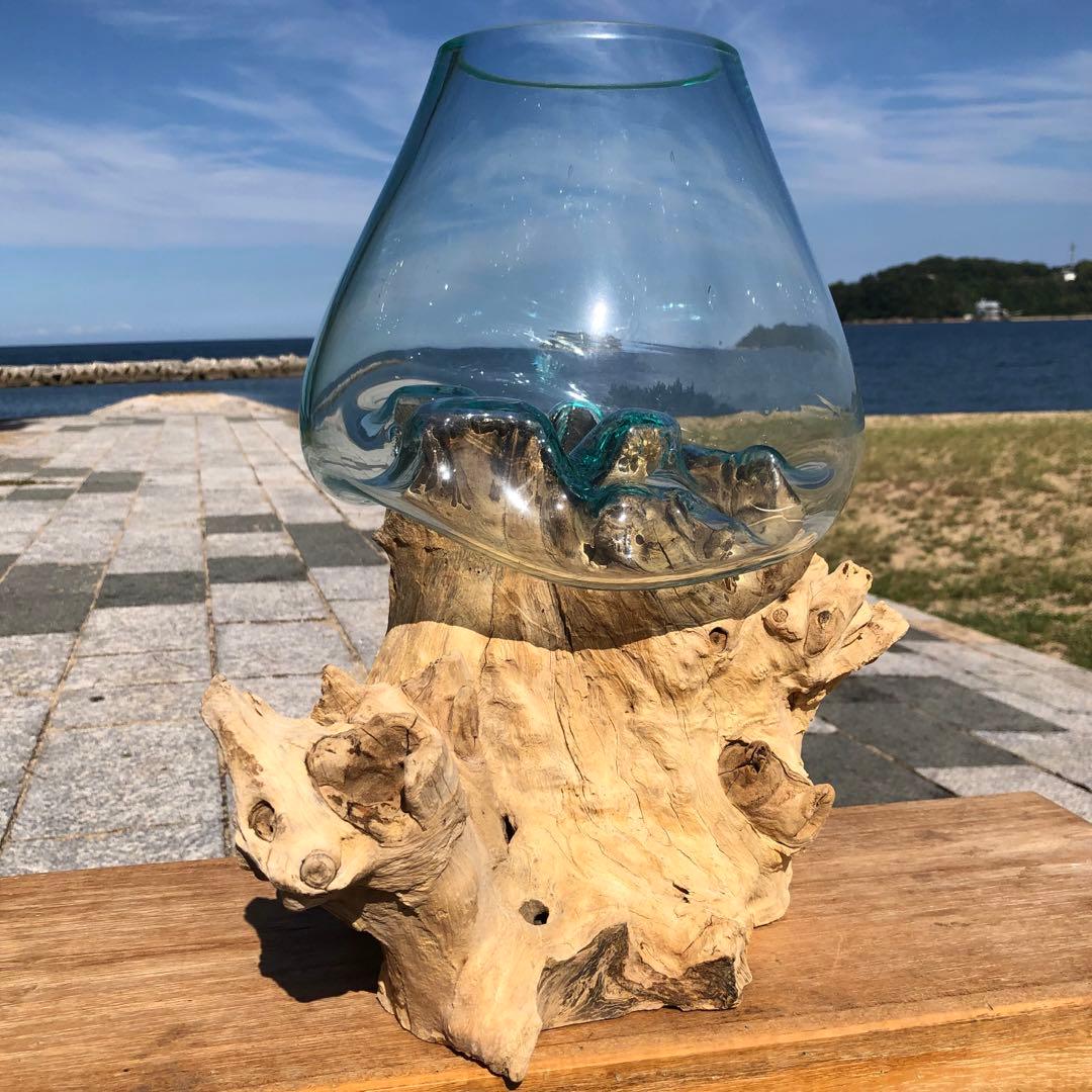流木ガラス オブジェ特大V 花瓶 金魚鉢 ガーデニング テラリウム 観賞魚 容器
