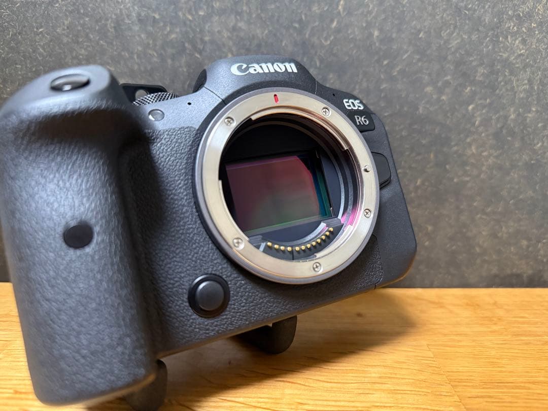 EOS R6レンズキット / RF24-105mm F4-7.1 IS STM