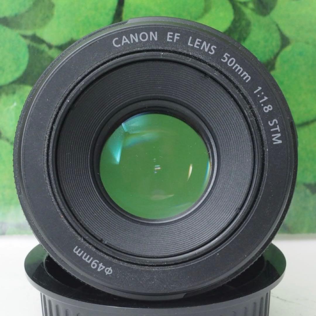 【美品】キヤノン EF50mm 単焦点 STMで動画もバッチリ♪ 神レンズ