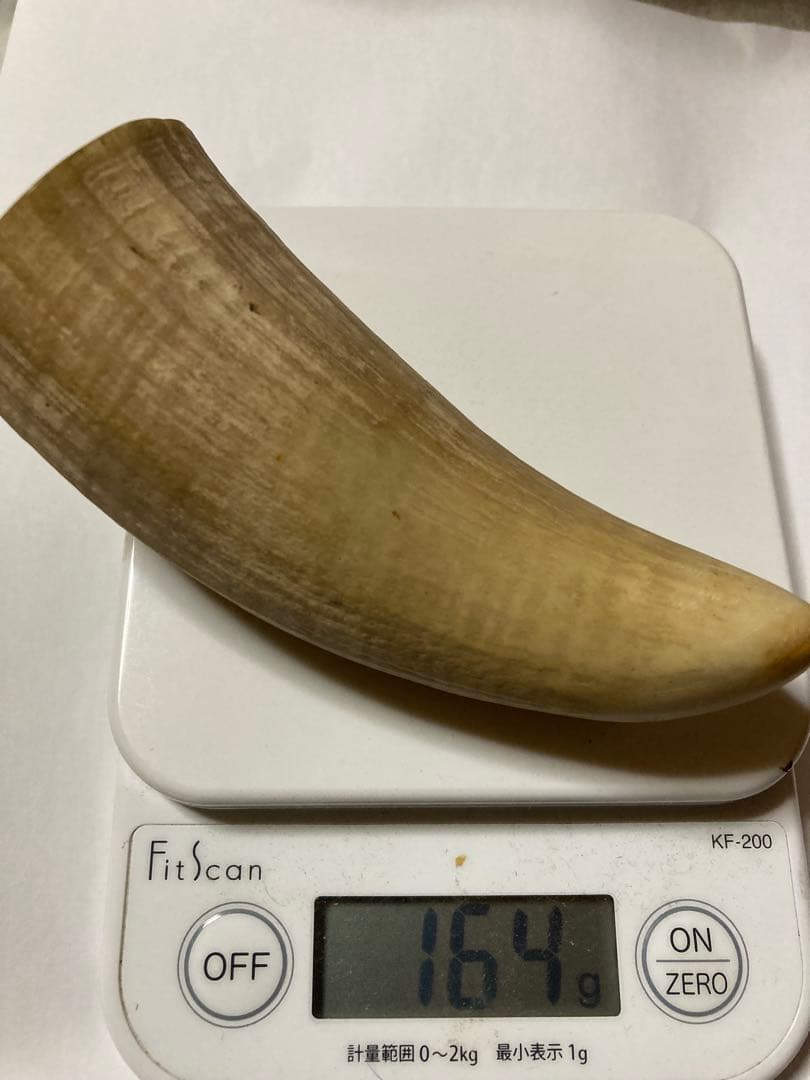 マッコウクジラ歯（根付け　ルアー)