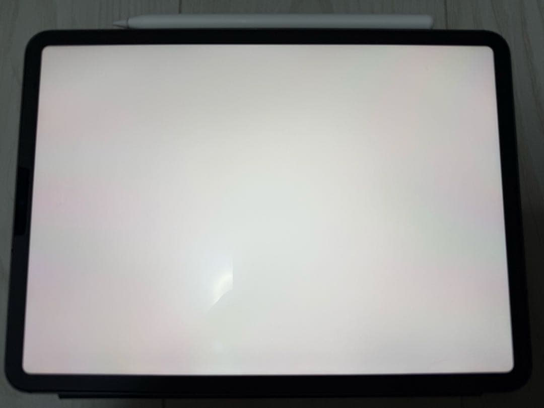 ipad pro 11インチ 第1世代 256GB