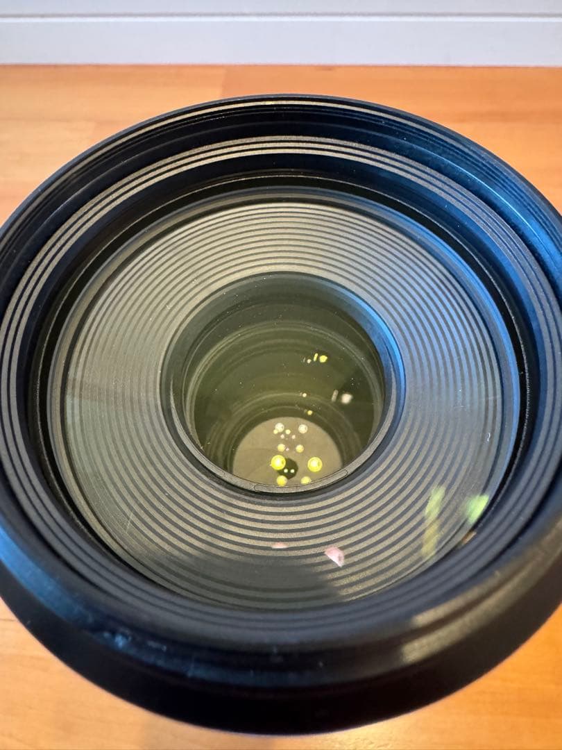 Canon RF100-500mm F4.5-7.1 L IS USM キャノン