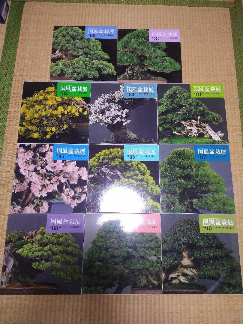 国風盆栽展 11巻セット 80-90