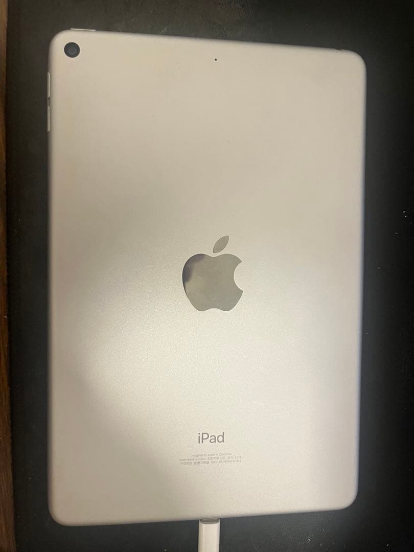 Apple iPad mini5 シルバー 本体(84%）