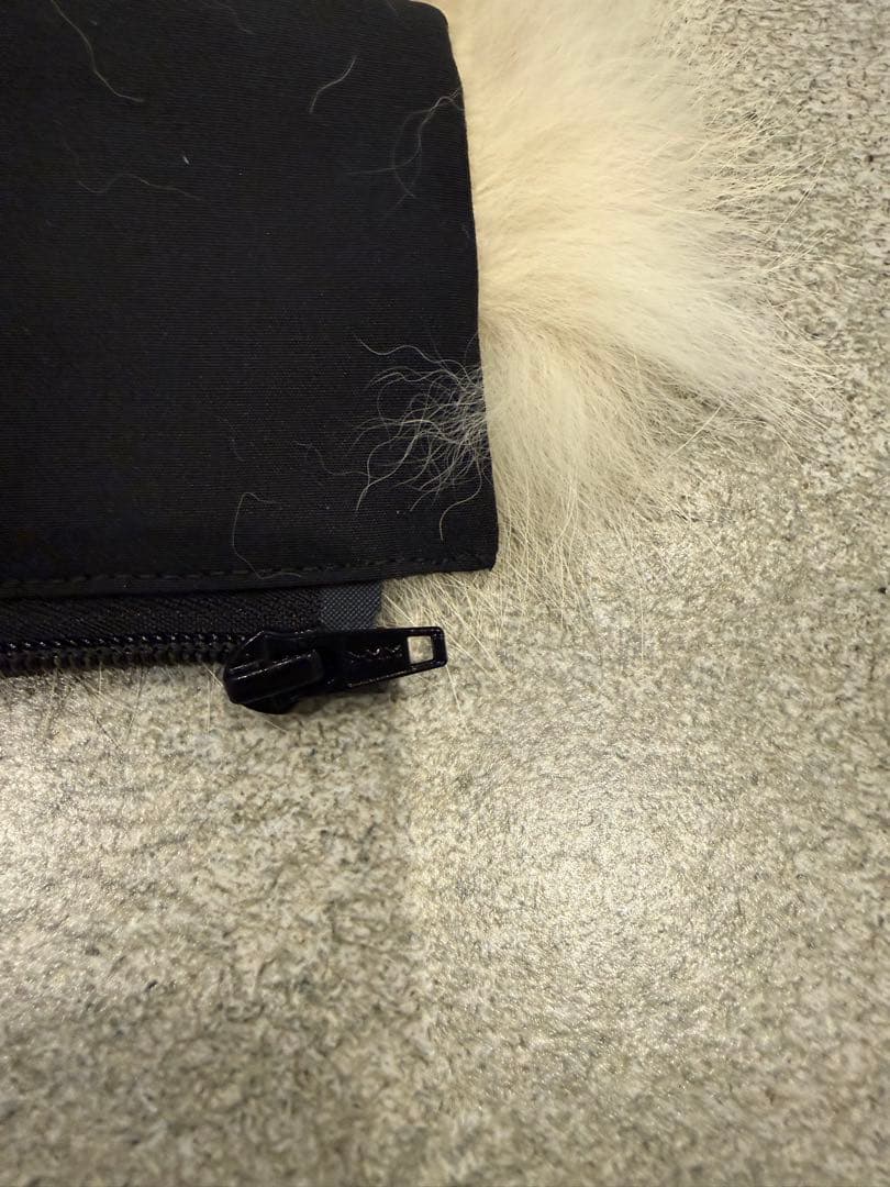 カナダグース　ファーのみ　コヨーテ