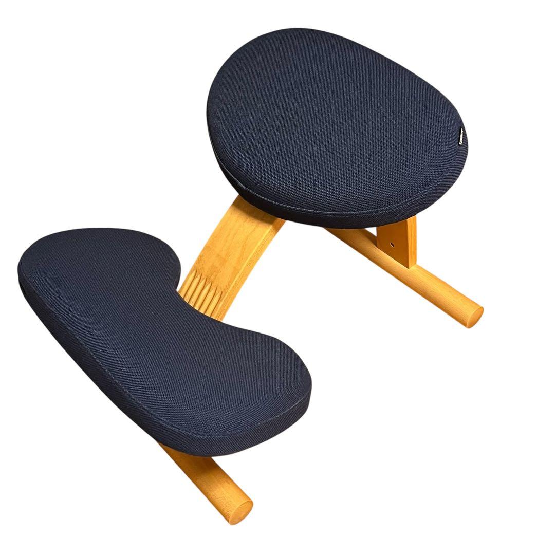 極美品 balans Easyバランスチェア イージー ネイビー カバー付き