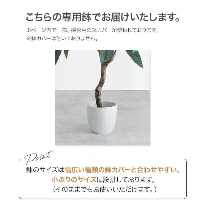 【光触媒/抗菌防臭】人工観葉植物 オリーブ 高さ125cm