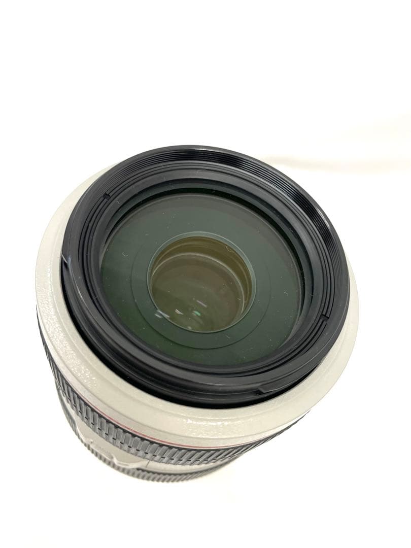 レンズ(ズーム) CANON ZOOM LENS EF 70-300mm F4-5.6 L