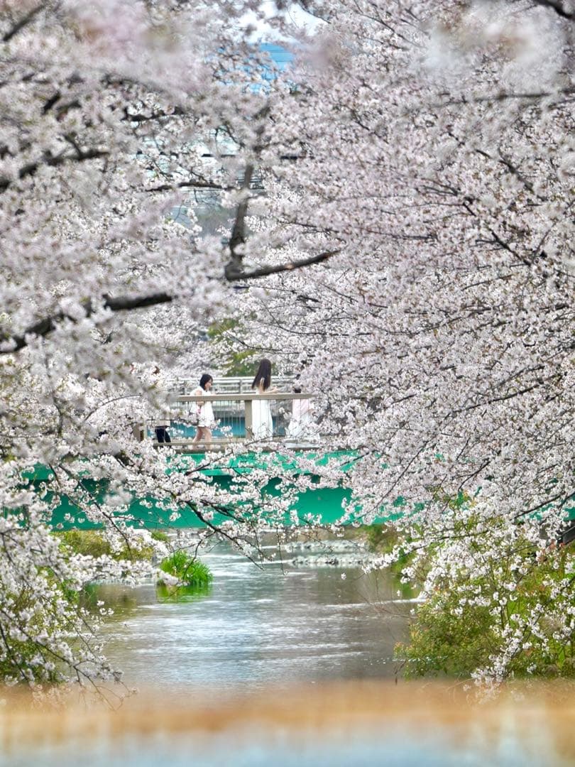 tokina sz 300mm pro reflex 超望遠単焦点　eマウント