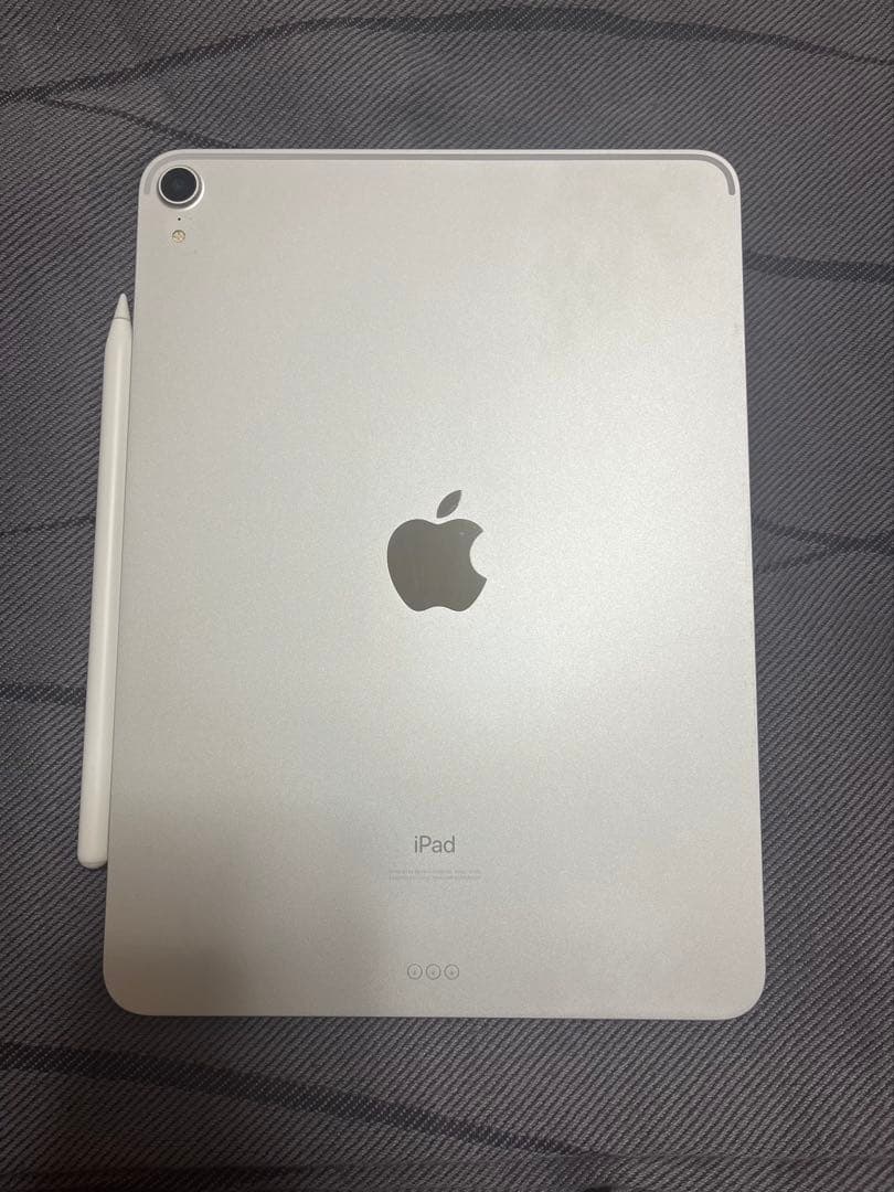 iPad Pro 11インチ第一世代 Apple Pencil ケース付き