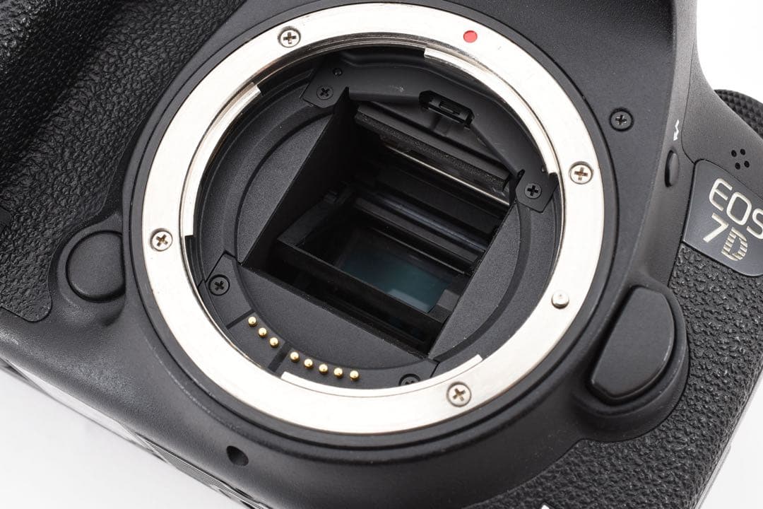 デジタル一眼レフカメラCanon EOS 7D Mark II 標準&望遠セット