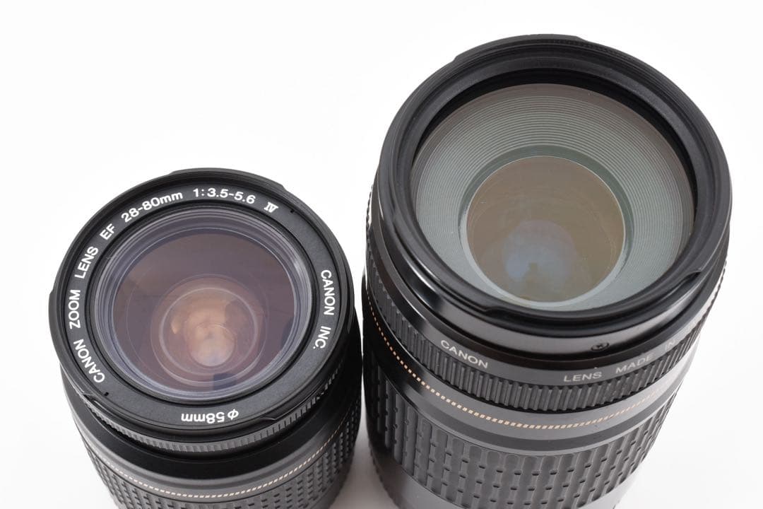 デジタル一眼レフカメラCanon EOS 7D Mark II 標準&望遠セット