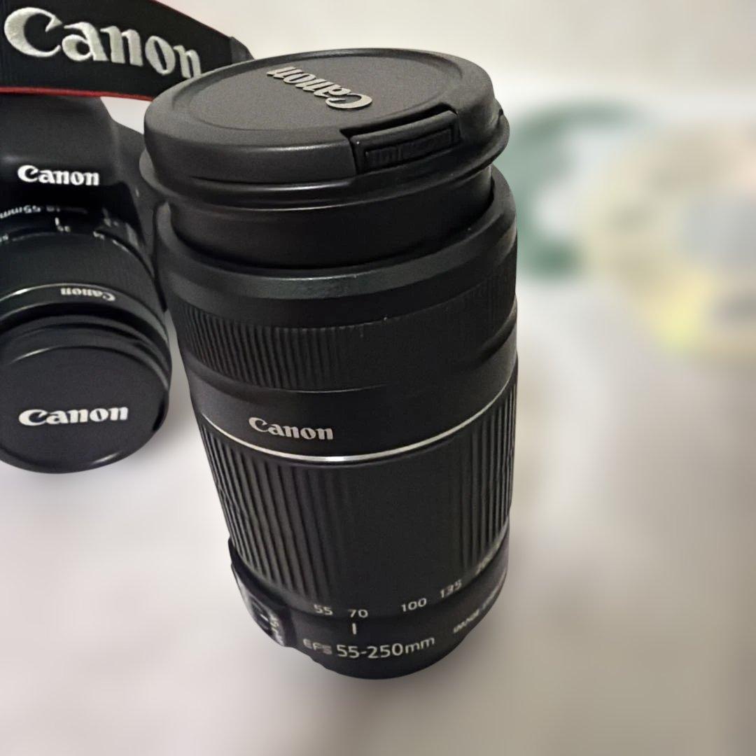 キャノン EOS KissX5 ダブルズームキット 週末限定価格