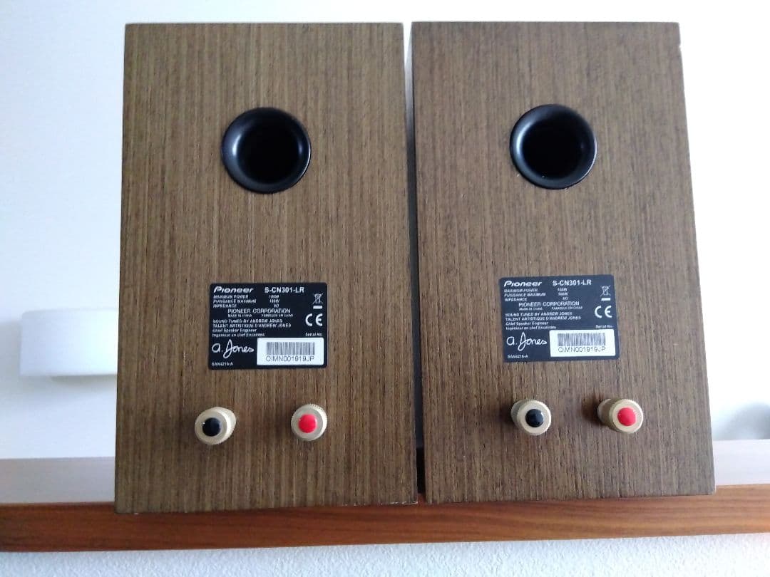 パイオニア　S-CN301-LR　スピーカー　おまけベルデンケーブル付き　中古