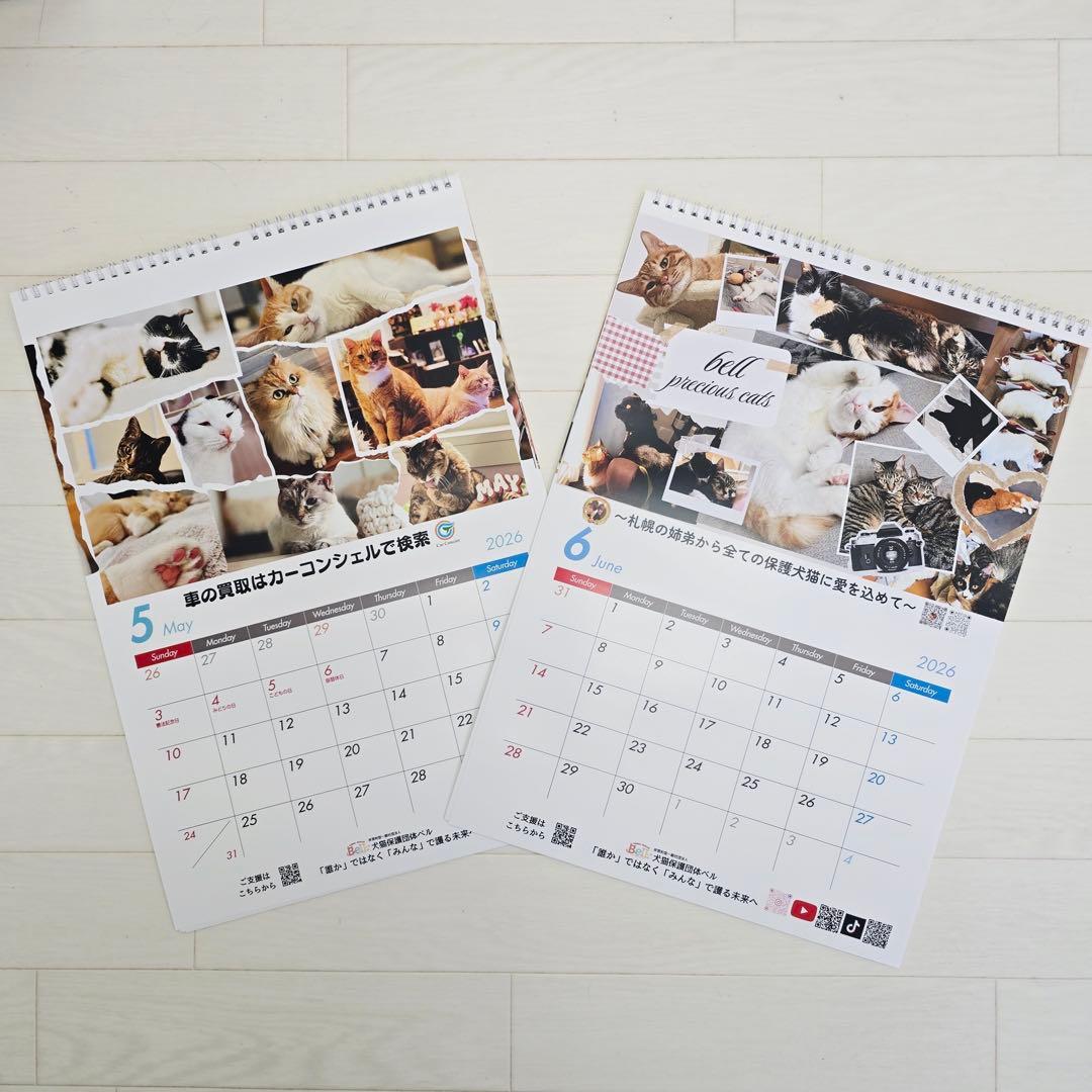 ①《猫》壁掛けチャリティーカレンダー10枚セット