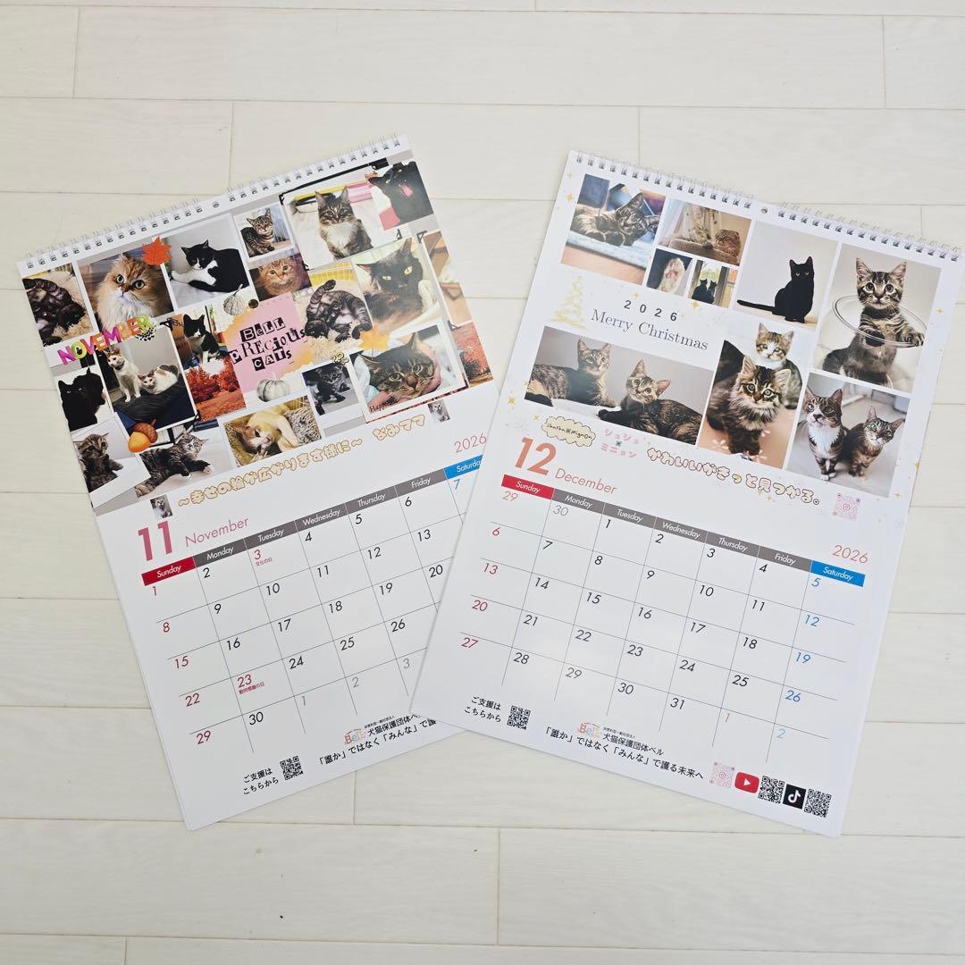 ①《猫》壁掛けチャリティーカレンダー10枚セット