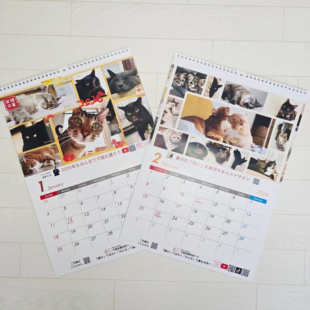 ①《猫》壁掛けチャリティーカレンダー10枚セット