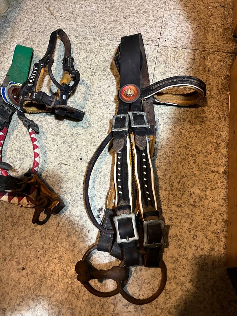 馬具、乗馬、おもがい、くつわ、ハミ、競馬、競争馬