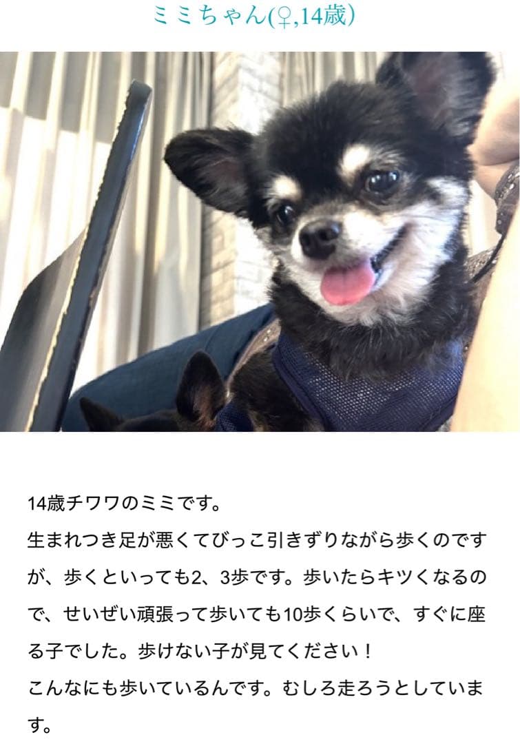 AniMat アニマット　医療　健康　病気　ペット用