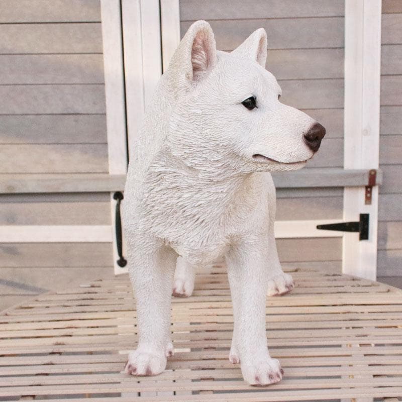 白い柴犬 置物 オブジェ かわいい インテリア 375-222