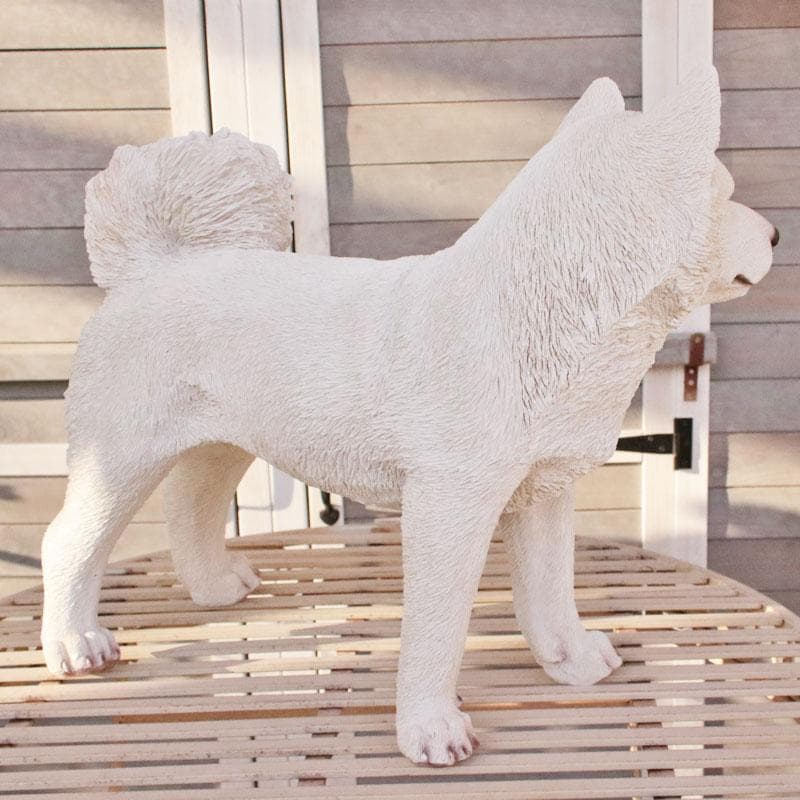 白い柴犬 置物 オブジェ かわいい インテリア 375-222