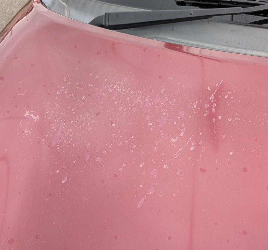 のえる様　　【車検令和712月】ミラジーノ　乗れます