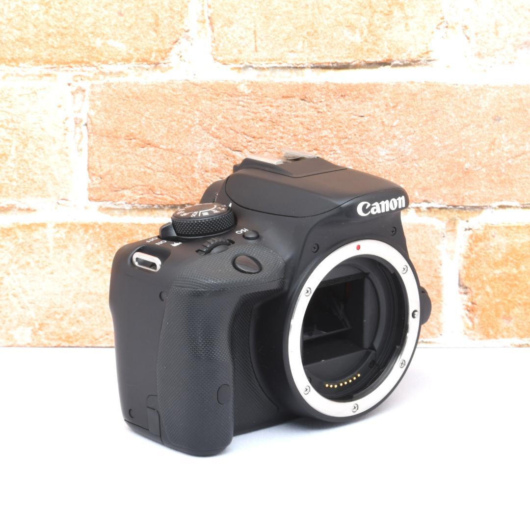 推し活女子必見❤️ Canon EOS Kiss X7❤️軽くてかわいい一眼レフ
