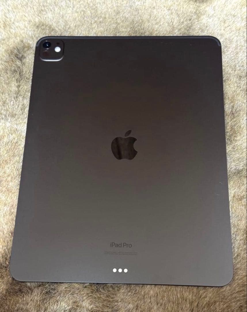 ipad pro m4 11インチ256GB