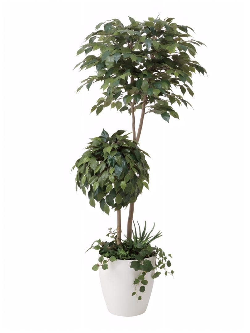 光触媒　人工観葉植物　フェイクグリーン　ベンジャミンダブルフェイス植栽付1.8m