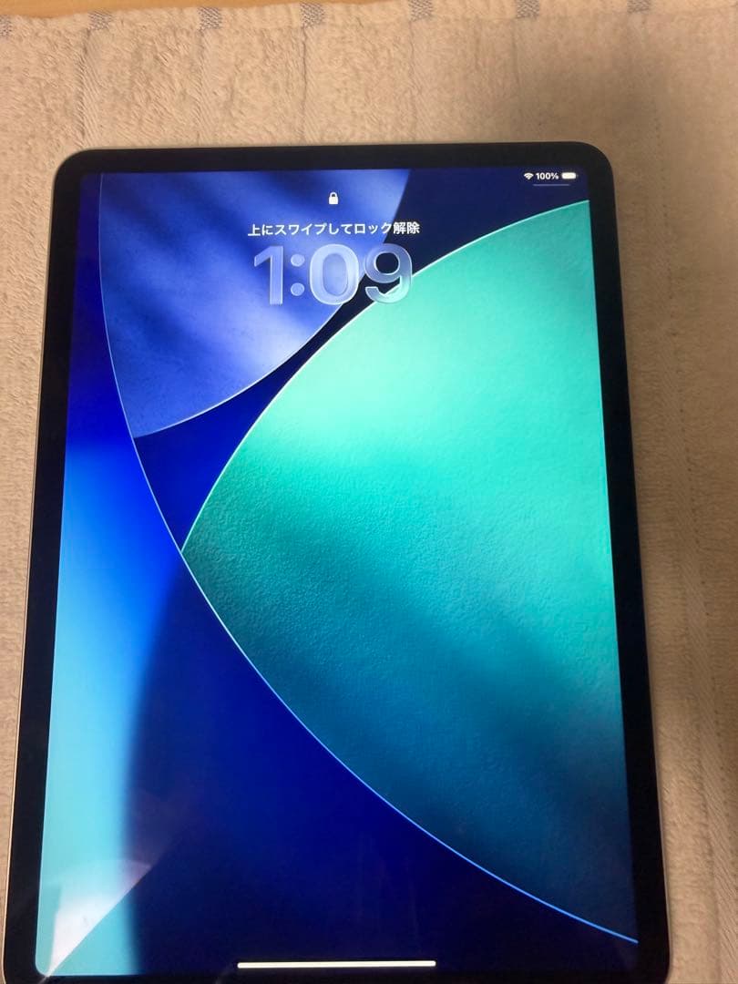 iPad Pro (11インチ) 第2世代 128GB