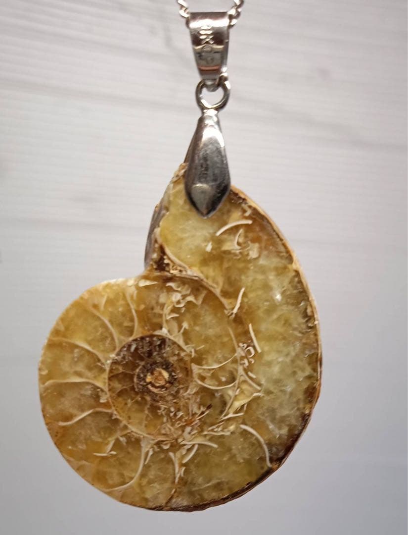 天然 アンモナイト アンティーク ペンダント ネックレス 2点 セット