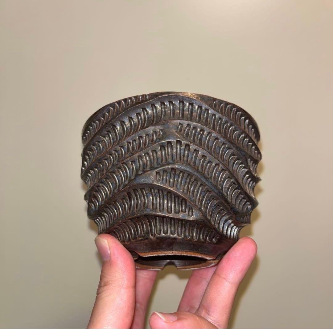 M SIZE 盆栽鉢 作家鉢 陶器 真柏 糸魚川真柏 皐月 五葉松 黒松 長寿梅