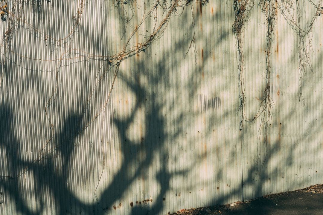 レンズ(単焦点) Super-Takumar 55mm f1.8