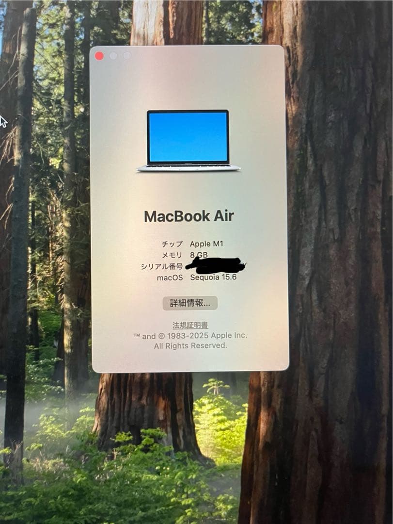 Apple MacBook Air シルバー 本体のみ M1 8gb 256gb