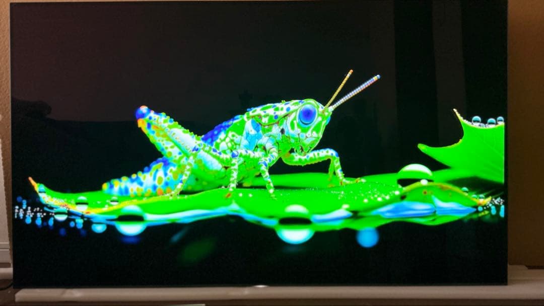 SONY 4K有機ELテレビ KJ-55A1