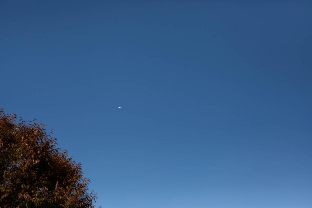 Carl Zeiss Planar T f1.4 85mm ZE キャノン用