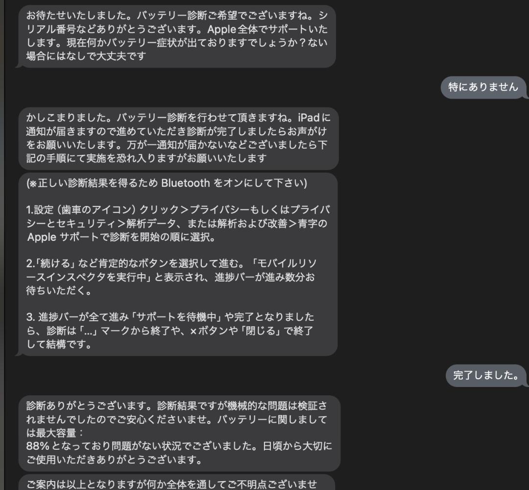 iPadPro11インチ第1世代 256GB Wi-Fiモデル バッテリー88%