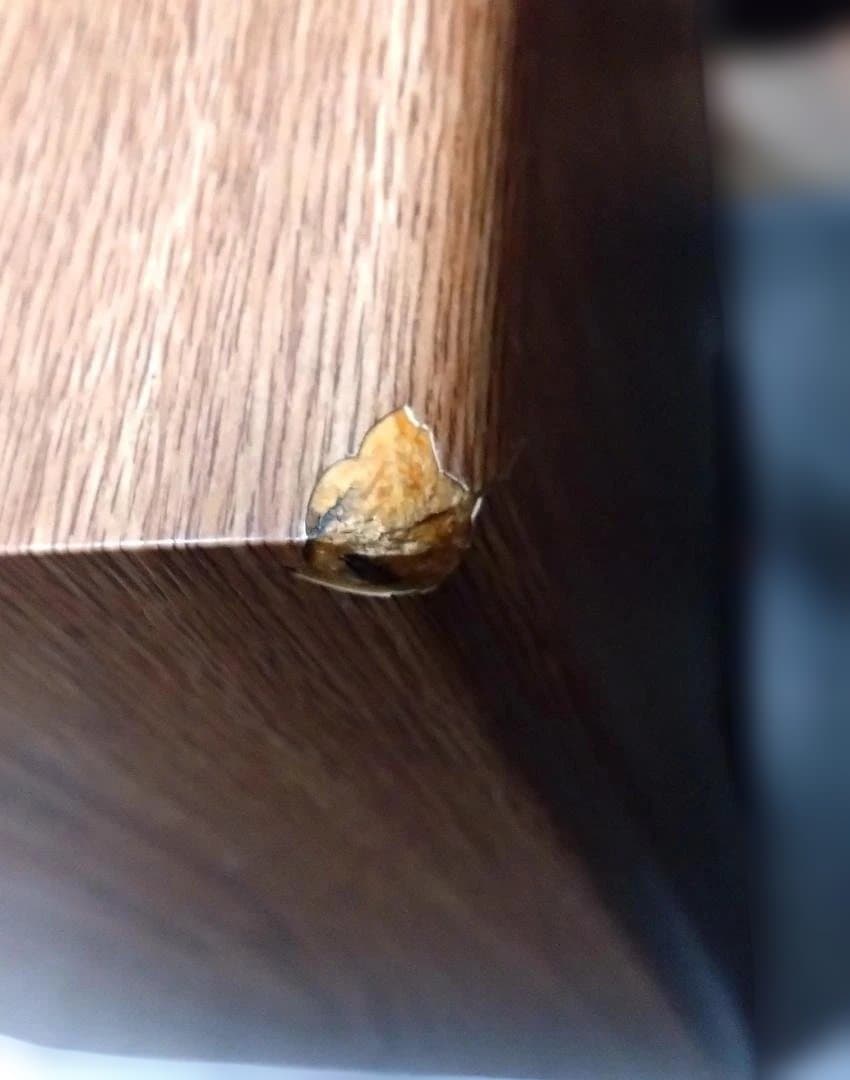 スピーカー DENON USC-F07 (ペア)