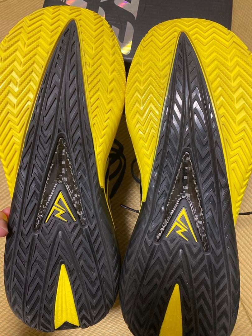 シューズ(男性用) Rigorer AR3 Pro Z325360911