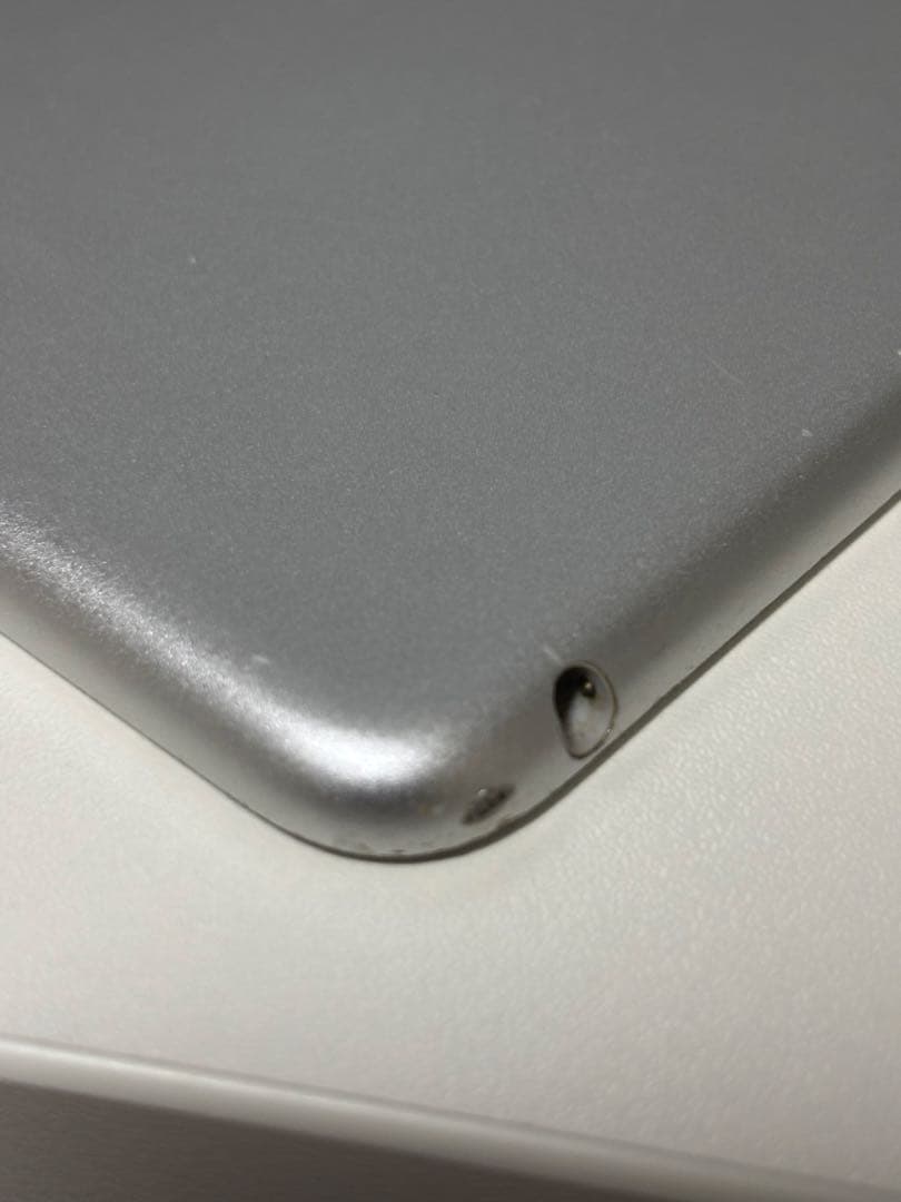 iPad mini 5 (第5世代) 64GB 保護フィルム、ケース付き