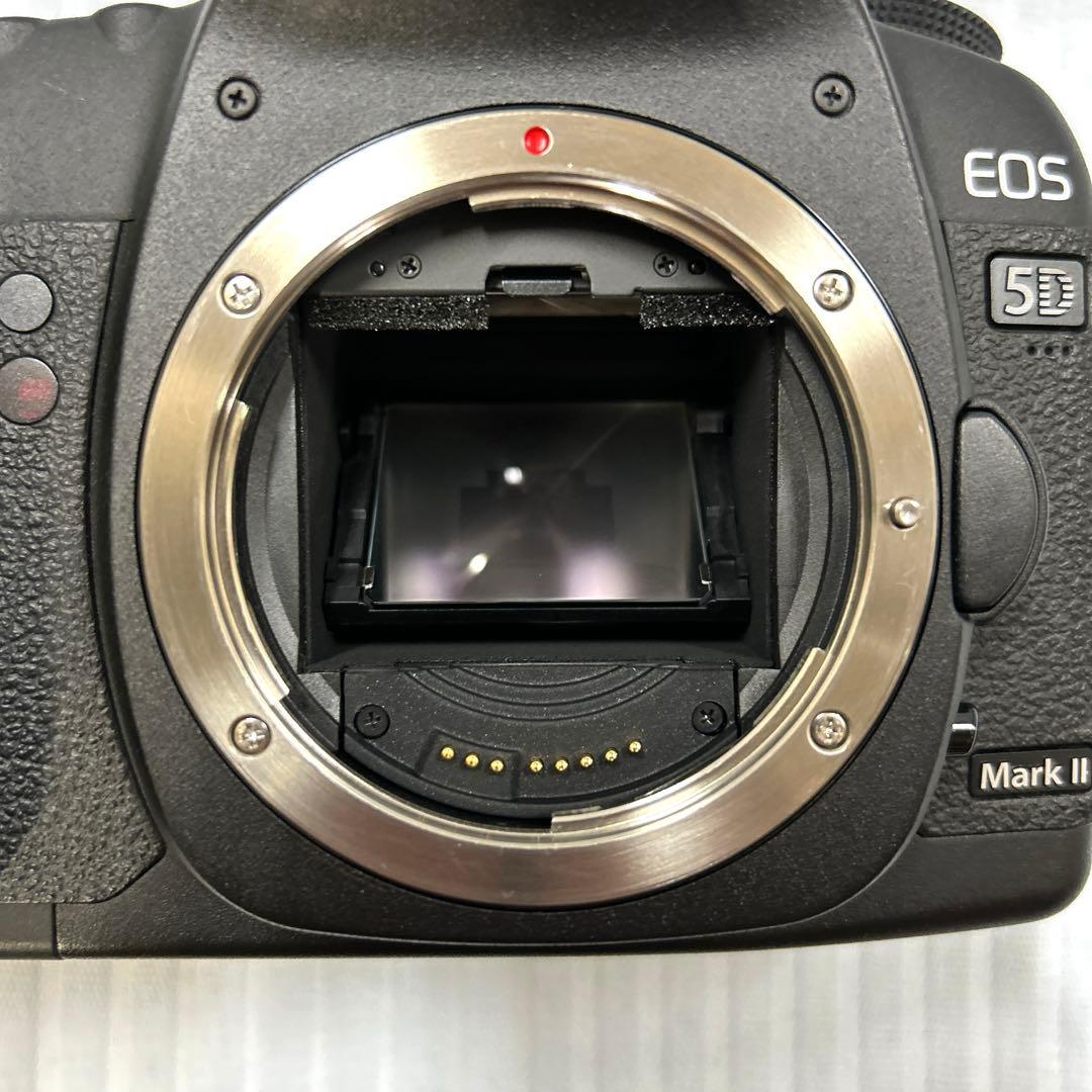 Canon EOS5D markⅡ ＋ 24〜105mm f:4 ＋BG-E6