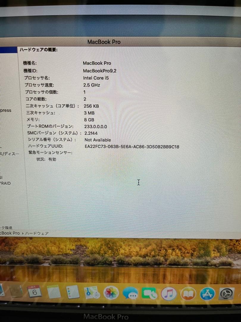 MacBook pro Mid2010 A1278 美品 メモリ8GB