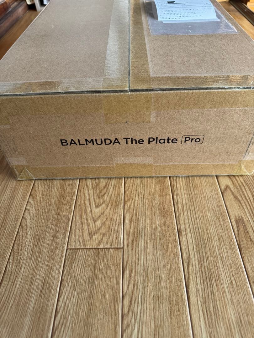 バルミューダ The Plate pro K10A