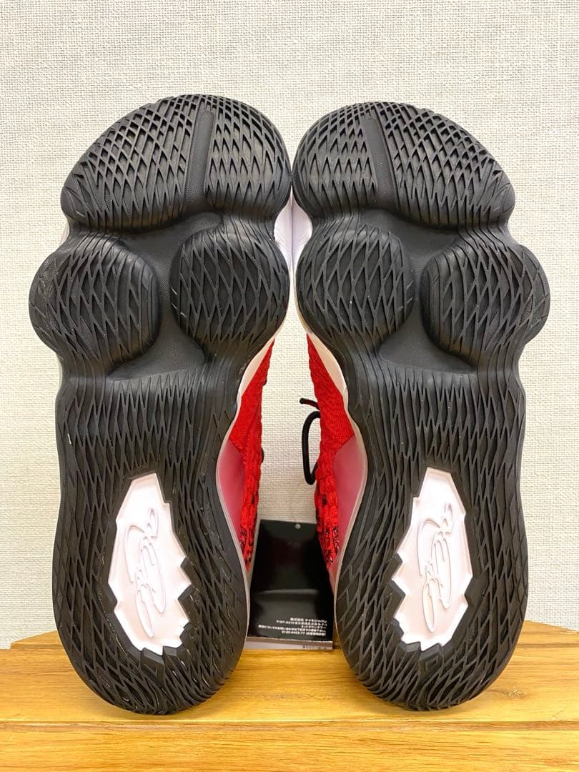 NIKE LEBRON XVII \"UPTEMPO\" 28cm 未使用品