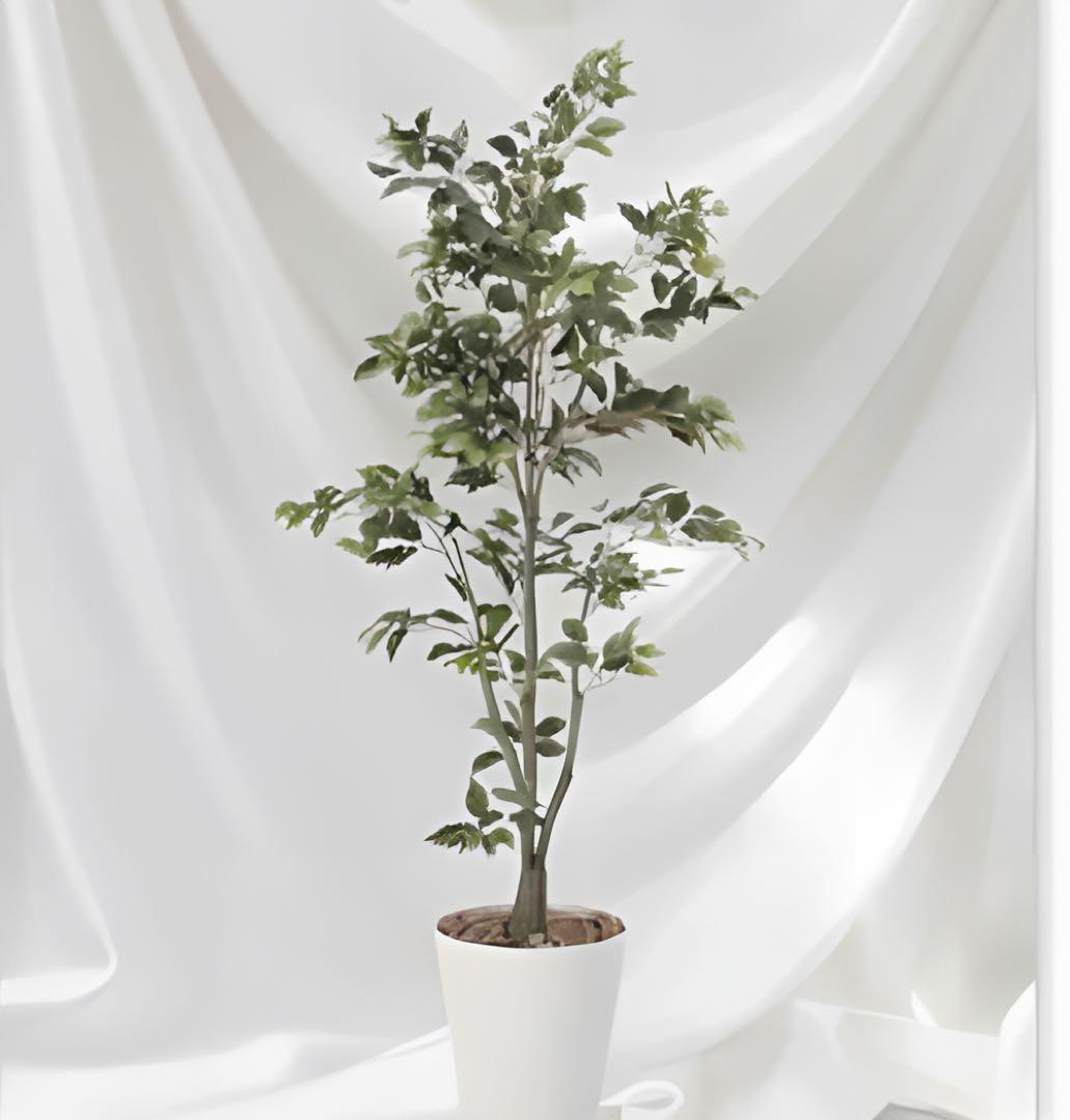 光触媒　人工観葉植物　ウォールグリーン　フェイクグリーン　フィカスツリー1.8m