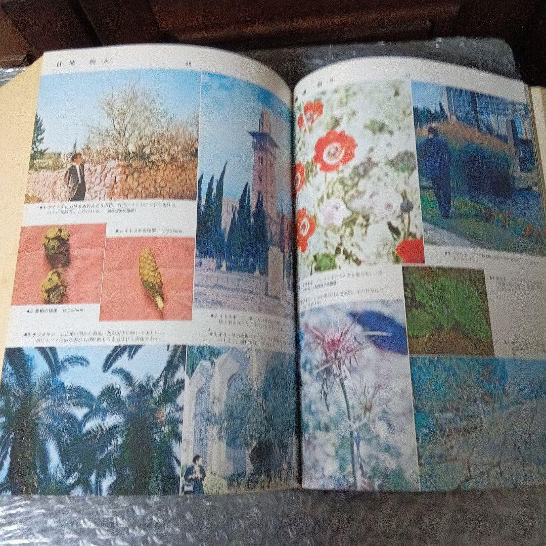 新聖書大辞典　背革背継クロス装上製本　責任編集者　馬場嘉市　キリスト新聞社発行