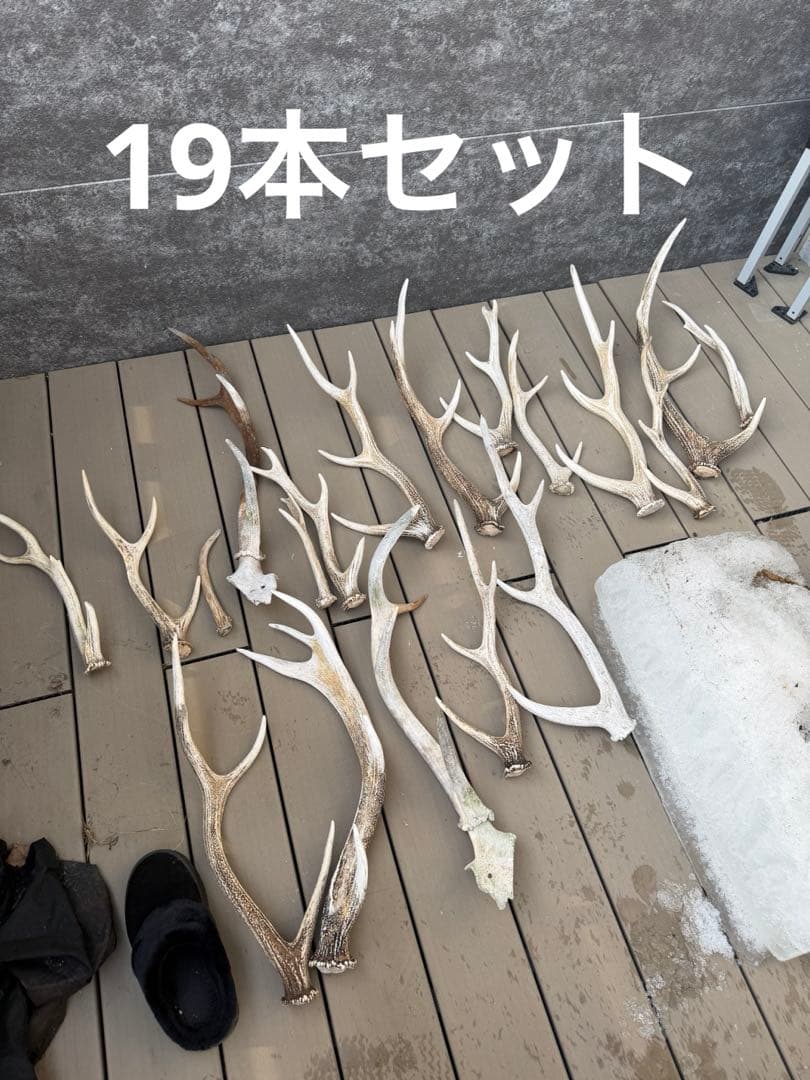 鹿の角 置物 インテリア装飾