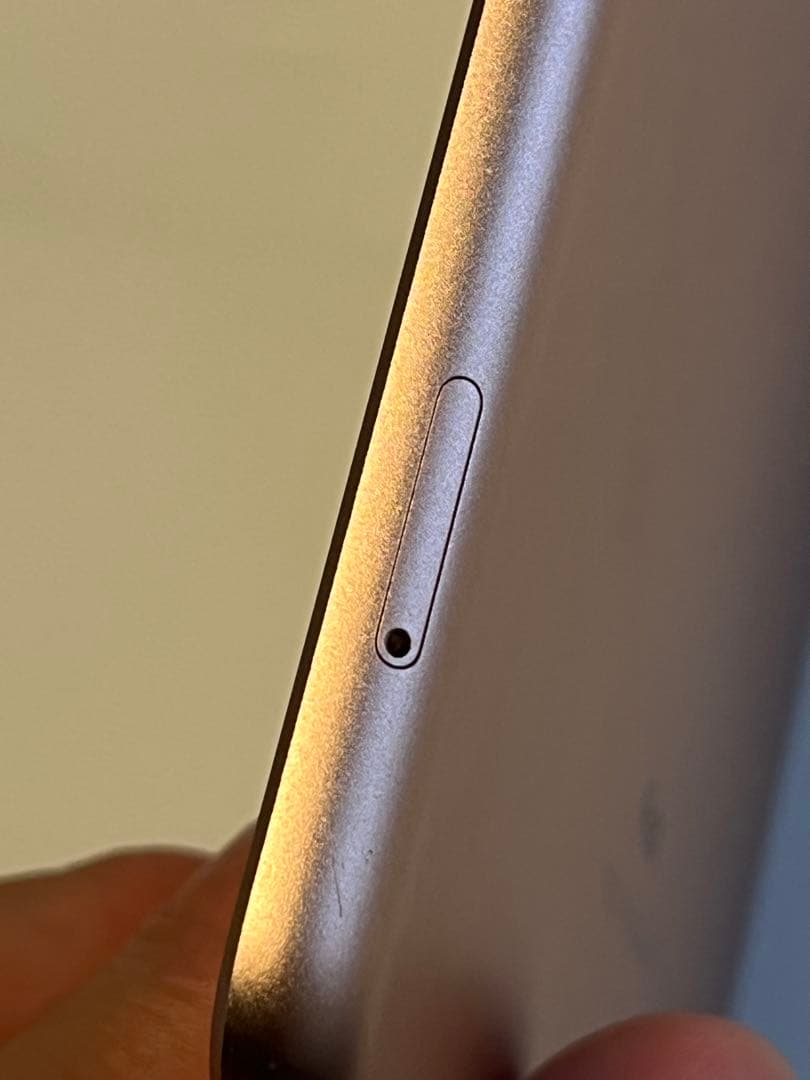 マ*ー様 Apple iPad 6世代　32GB セルラーモデル　ペンシル付き