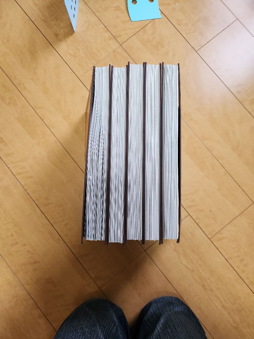 講談社　週刊日本の仏像全５０巻セットバインダー付き