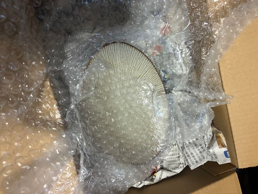 確認用画像です。 購入しないでください！